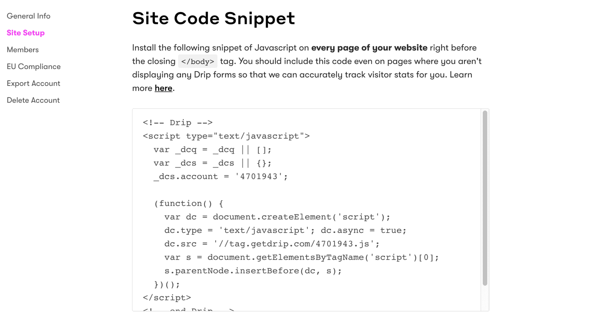 Javascript Snippet in Drip